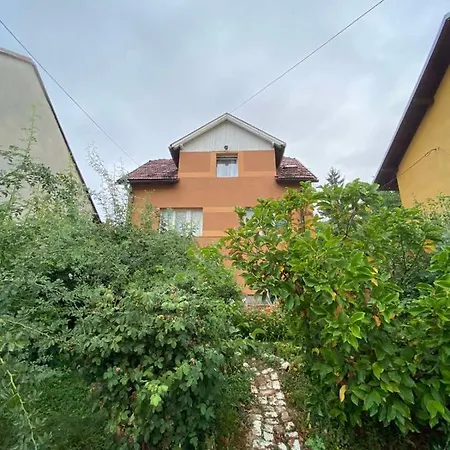 Izdavanje Sobe/stana Apartamento *